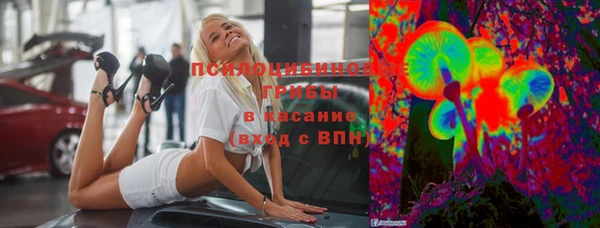 ECSTASY Абаза